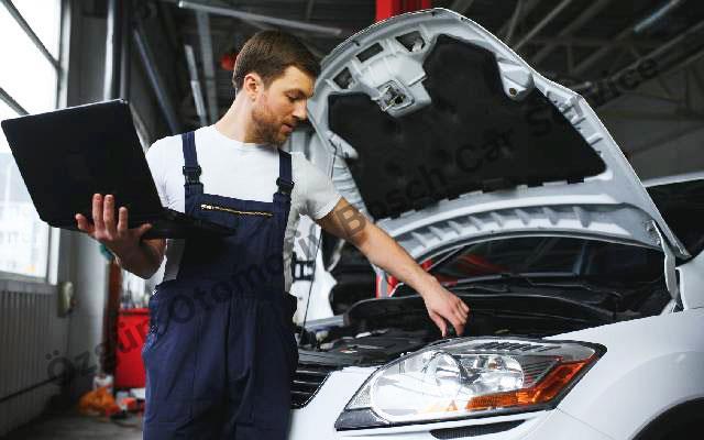 Computerized Fault Diagnosis